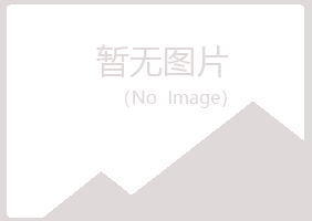 黑河盼山会计有限公司